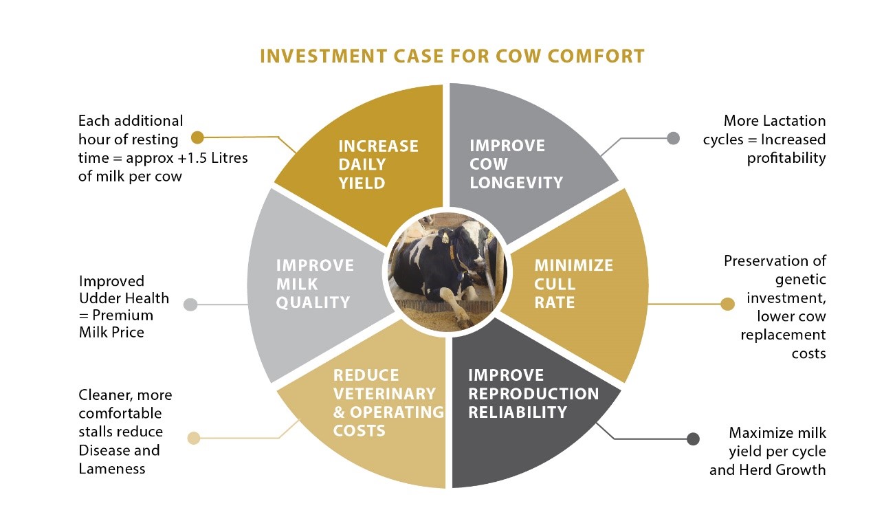 Investment Case Diagram